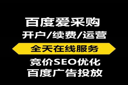 从小白到高手：百度竞价赚钱全记录